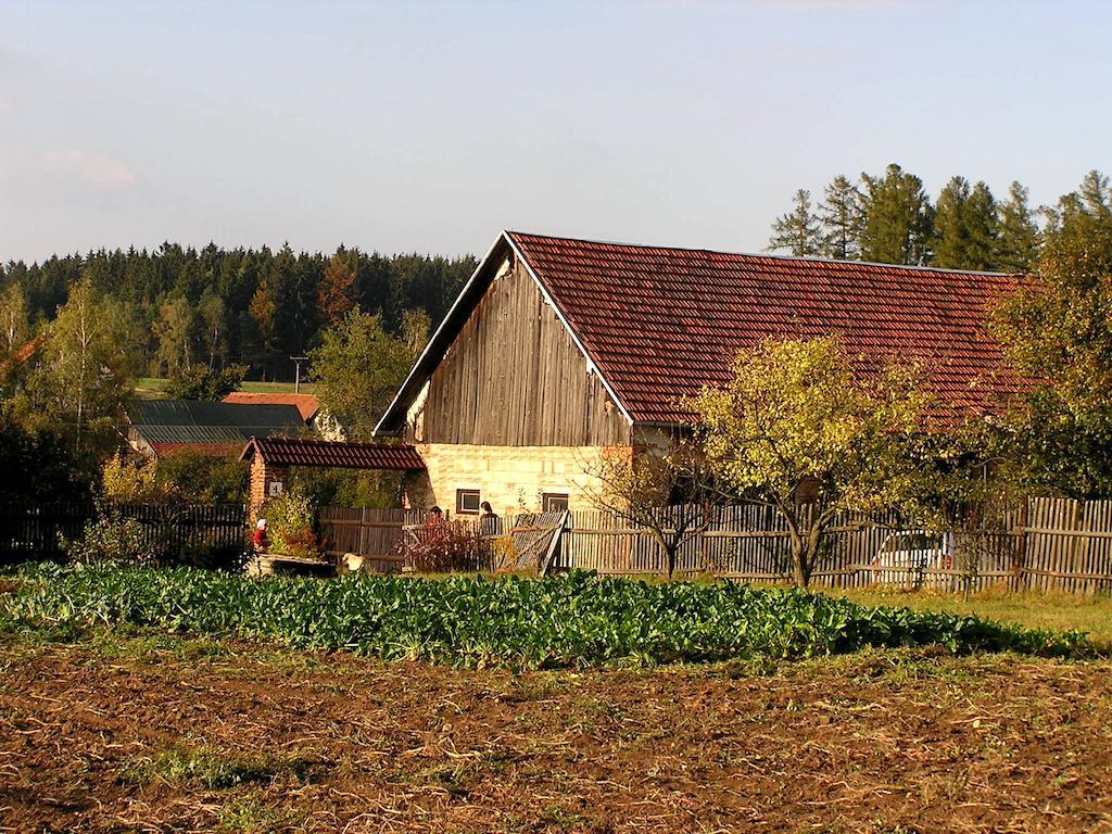 Penzion Zamek Rozsochatec Exterior photo